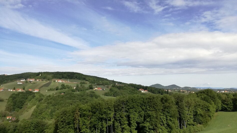 Radfahren FB5 Weintour  Thermen- & Vulkanland Steiermark - Touren-Impression #2.11 | © Thermen- & Vulkanland