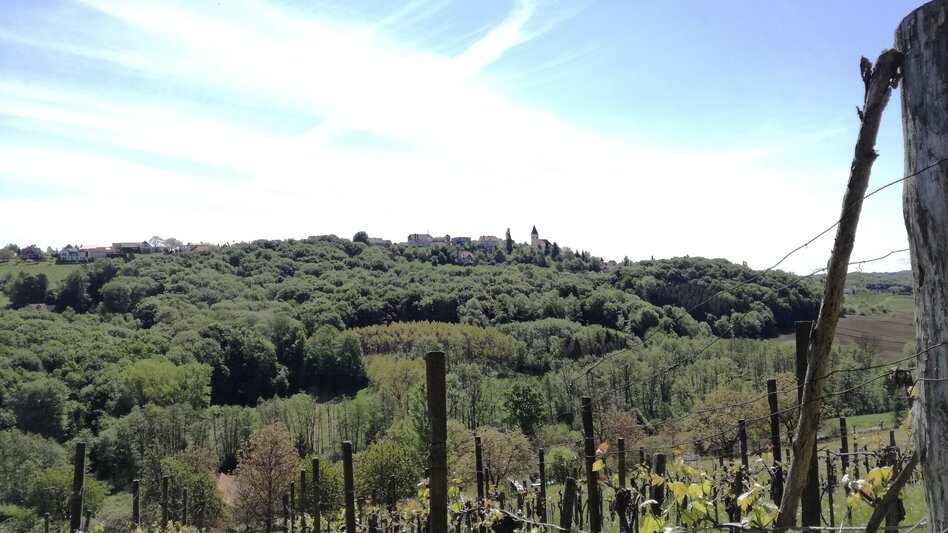 Radfahren FB5 Weintour  Thermen- & Vulkanland Steiermark - Touren-Impression #2.4 | © Thermen- & Vulkanland