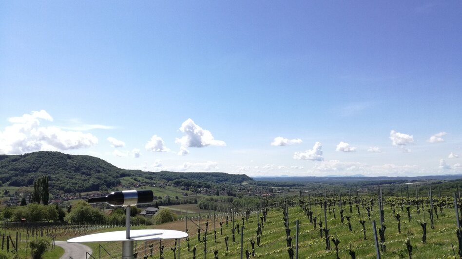 Radfahren FB5 Weintour  Thermen- & Vulkanland Steiermark - Touren-Impression #2.6 | © Thermen- & Vulkanland