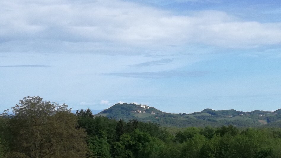 Radfahren FB5 Weintour  Thermen- & Vulkanland Steiermark - Touren-Impression #2.12 | © Thermen- & Vulkanland