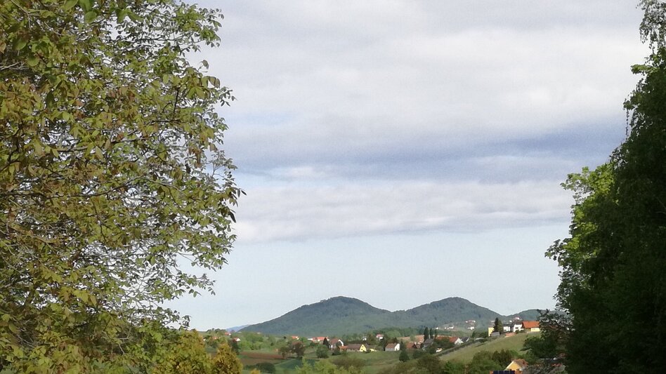 Radfahren FB5 Weintour  Thermen- & Vulkanland Steiermark - Touren-Impression #2.13 | © Thermen- & Vulkanland