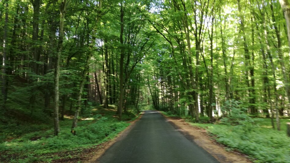 Radfahren FB5 Weintour  Thermen- & Vulkanland Steiermark - Touren-Impression #2.17 | © Thermen- & Vulkanland