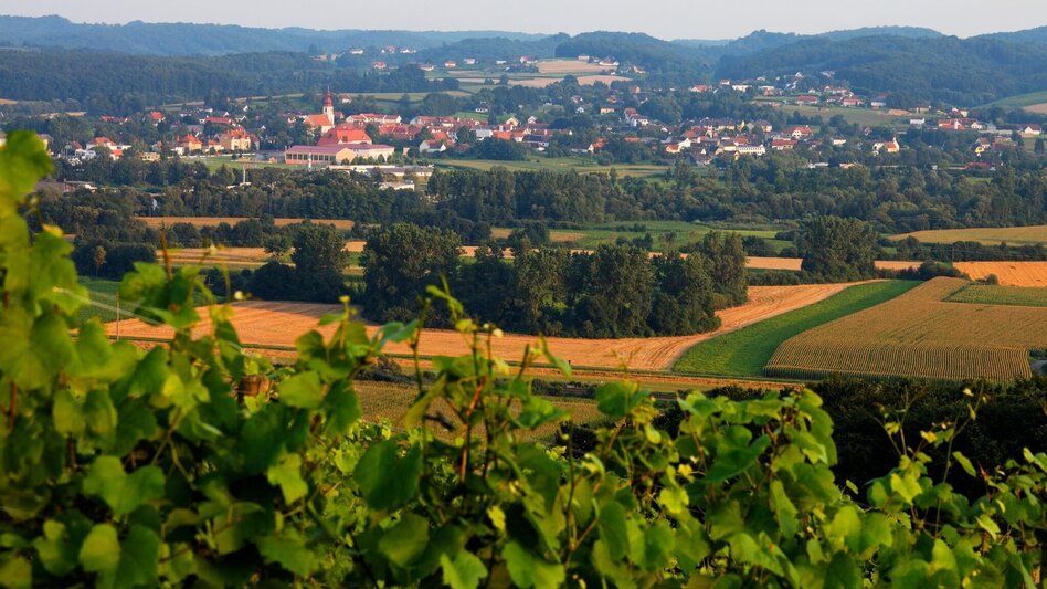 Radfahren FB9 Schwammerltour Thermen- & Vulkanland Steiermark - Touren-Impression #2.11 | © TV Thermen- & Vulkanland
