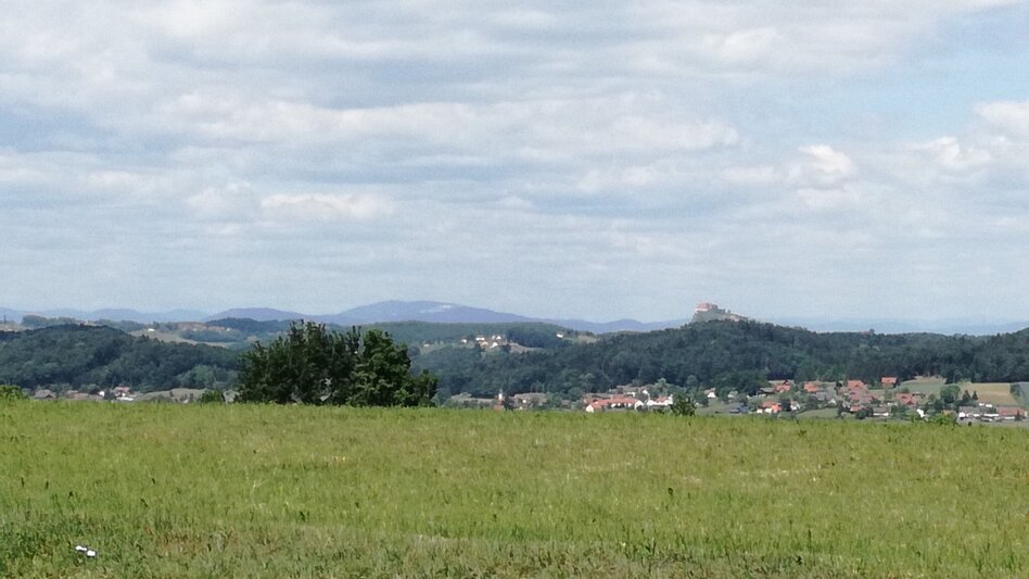 Radfahren FB9 Schwammerltour Thermen- & Vulkanland Steiermark - Touren-Impression #2.3 | © Thermen- & Vulkanland