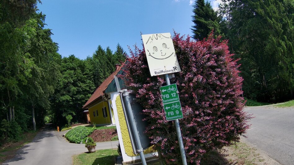 Radfahren FB9 Schwammerltour Thermen- & Vulkanland Steiermark - Touren-Impression #2.5 | © Thermen- & Vulkanland