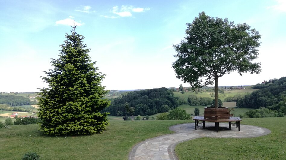 Radfahren FB9 Schwammerltour Thermen- & Vulkanland Steiermark - Touren-Impression #2.12 | © Thermen- & Vulkanland