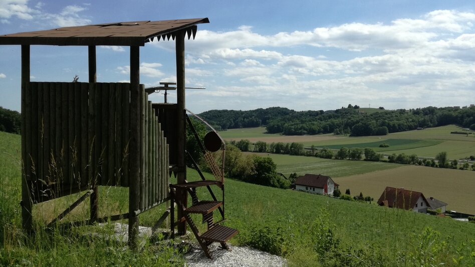 Radfahren FB9 Schwammerltour Thermen- & Vulkanland Steiermark - Touren-Impression #2.14 | © Thermen- & Vulkanland