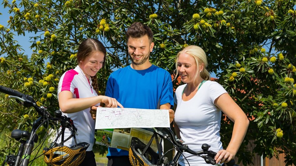 Radfahren FB12 Kastanientour Thermen- & Vulkanland Steiermark - Touren-Impression #2.1 | © Thermen- & Vulkanland