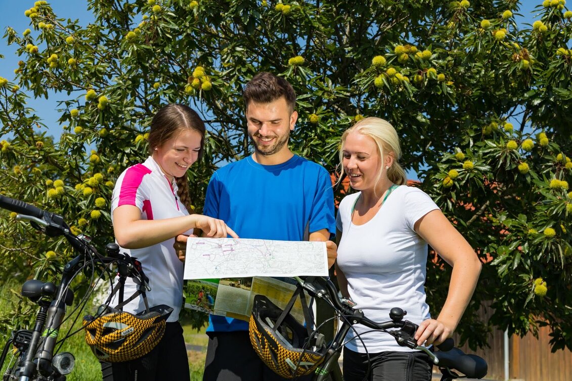 Radfahren FB12 Kastanientour Thermen- & Vulkanland Steiermark - Touren-Impression #1 | © Thermen- & Vulkanland