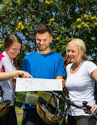 Kastanienbäume entlang der Tour | Werner Krug | © Thermen- & Vulkanland