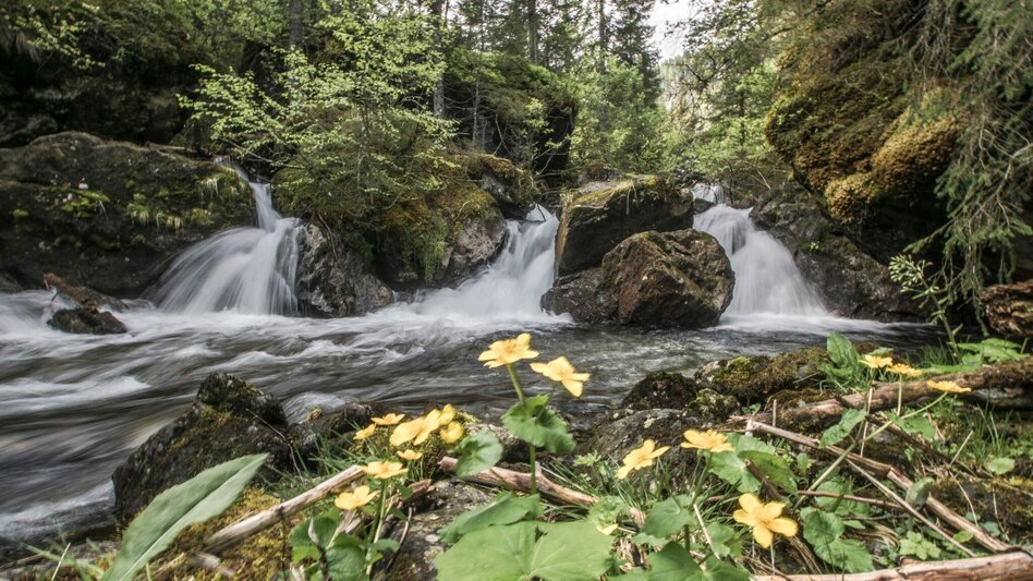Mountain Hike Rotmandlspitze: auf den Spuren der Bergknappen - Touren-Impression #2.3 | © Gerhard Pilz - www.gpic.at