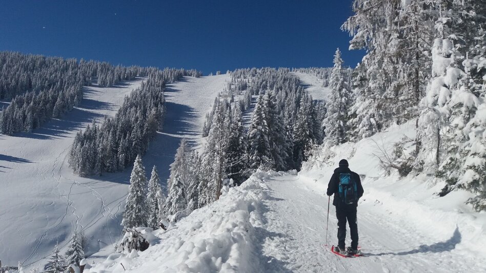 Schneeschuh Ochsenrunde - Touren-Impression #2.1 | © Region Graz