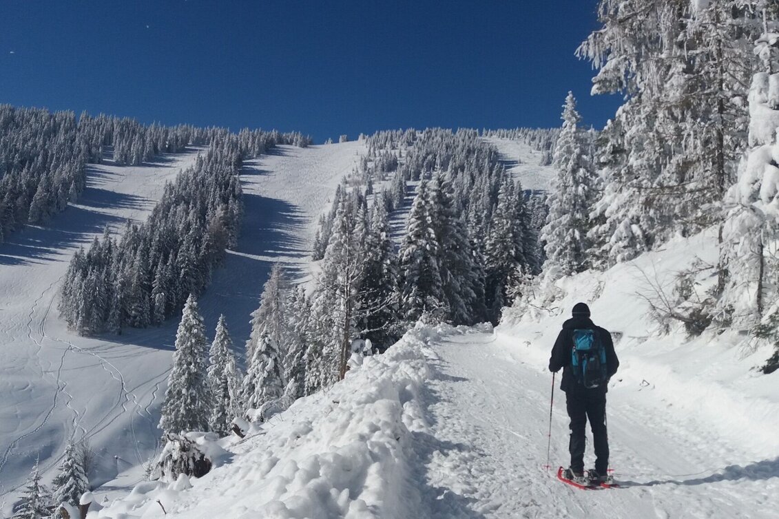 Schneeschuh Ochsenrunde - Touren-Impression #1 | © Region Graz