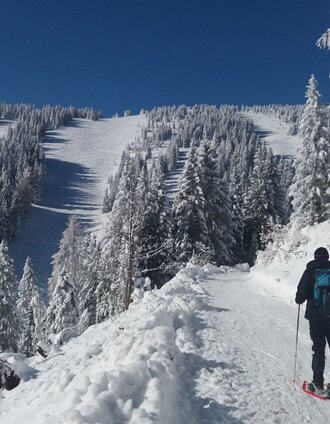 Ochsenrunde_Auf dem Weg zur Krugmoarhütte | TV Lipizzanerheimat_EU | © Region Graz