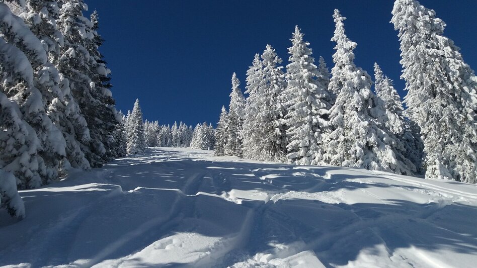 Schneeschuh Ochsenrunde - Touren-Impression #2.2 | © Region Graz