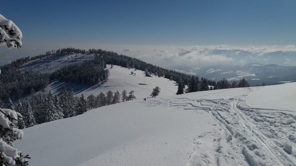 Schneeschuh Ochsenrunde - Touren-Impression #2.3 | © Region Graz