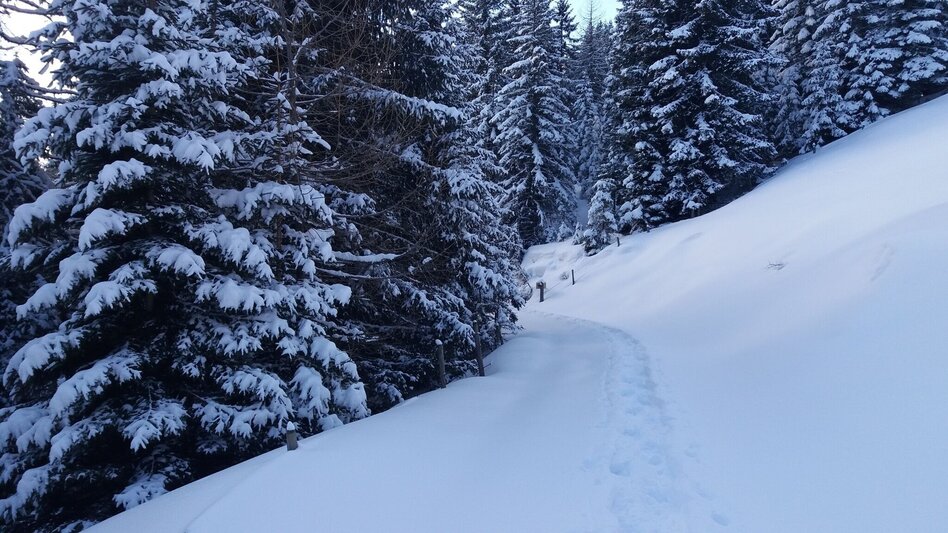 Schneeschuh Ochsenrunde - Touren-Impression #2.7 | © Region Graz