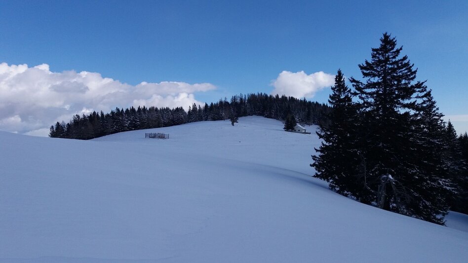 Schneeschuh Ochsenrunde - Touren-Impression #2.8 | © Region Graz