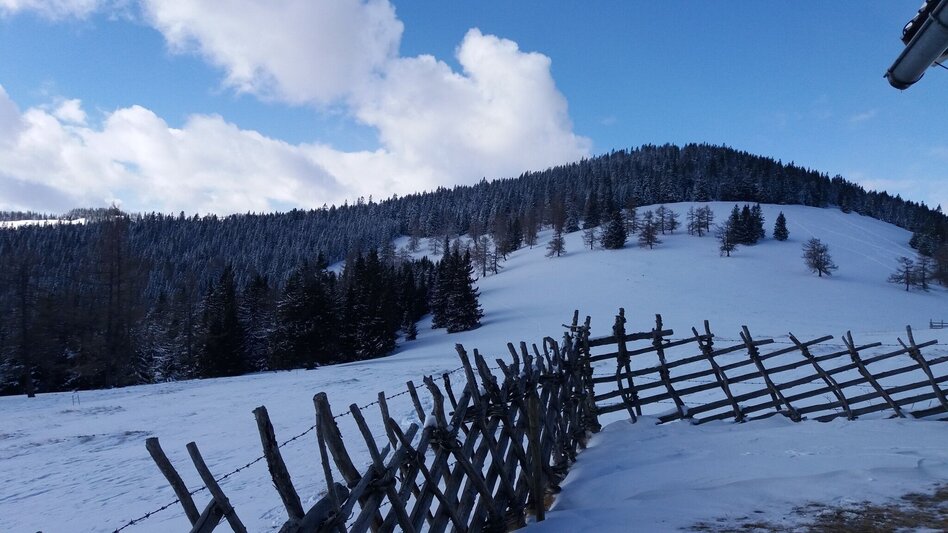 Schneeschuh Ochsenrunde - Touren-Impression #2.10 | © Region Graz