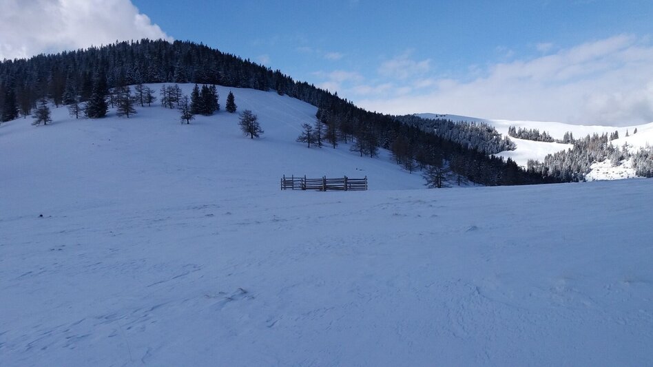 Schneeschuh Ochsenrunde - Touren-Impression #2.11 | © Region Graz