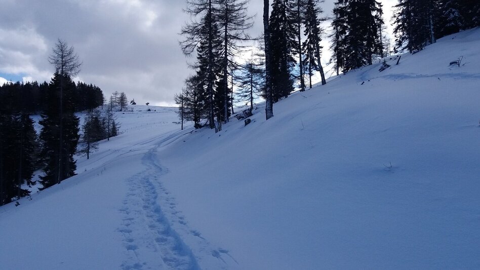 Schneeschuh Ochsenrunde - Touren-Impression #2.12 | © Region Graz
