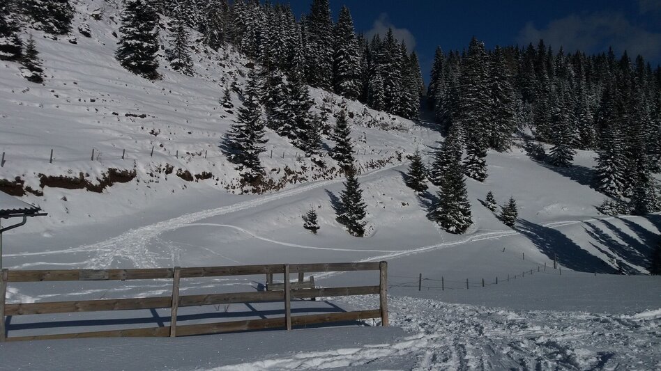 Schneeschuh Ochsenrunde - Touren-Impression #2.14 | © Region Graz