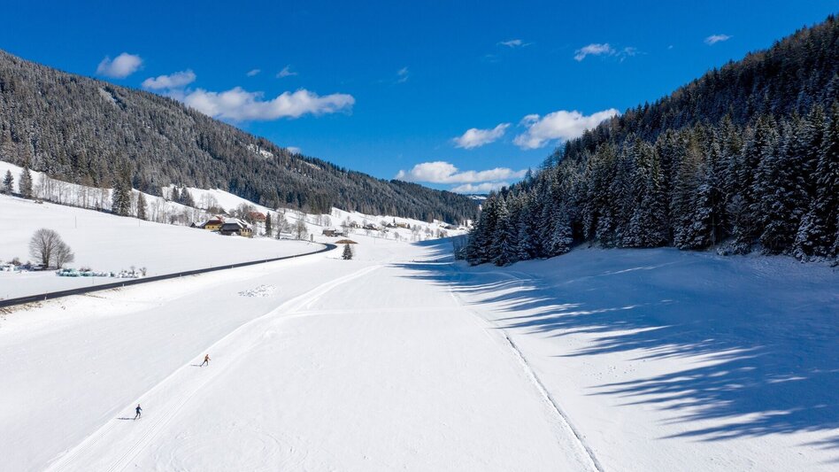 Ski nordic skating Weirerteich Loipe - Touren-Impression #2.1 | © Tourismusverband Murau