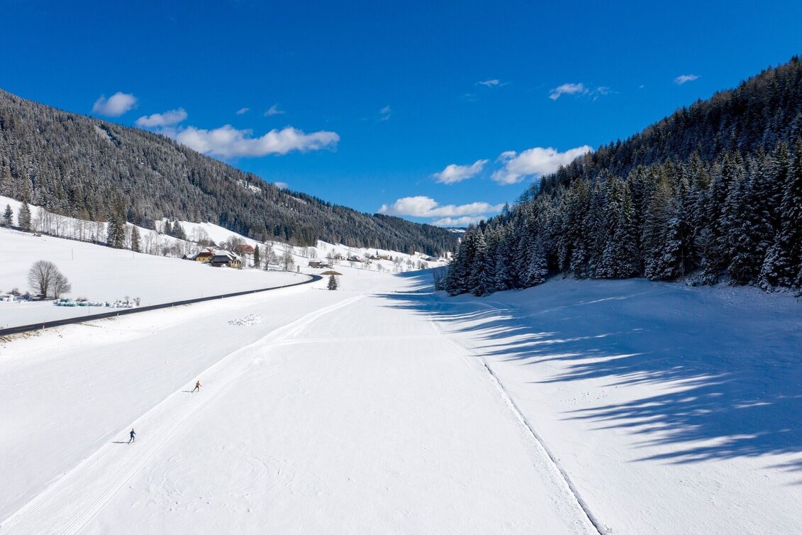Ski nordic skating Weirerteich Loipe - Touren-Impression #1 | © Tourismusverband Murau