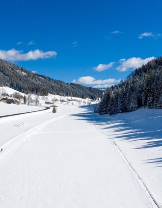 Weirerteich Loipe | Tom Lamm | © Tourismusverband Murau