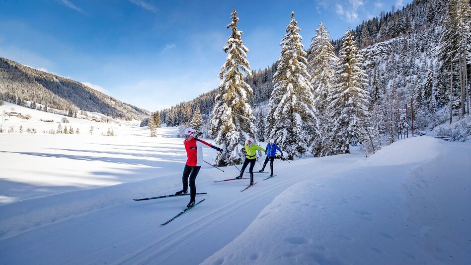 Ski nordic skating Weirerteich Loipe - Touren-Impression #2.2 | © Tourismusverband Murau