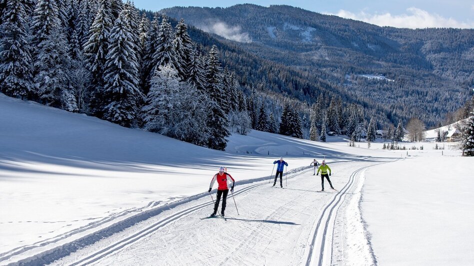 Ski nordic skating Weirerteich Loipe - Touren-Impression #2.3 | © Tourismusverband Murau