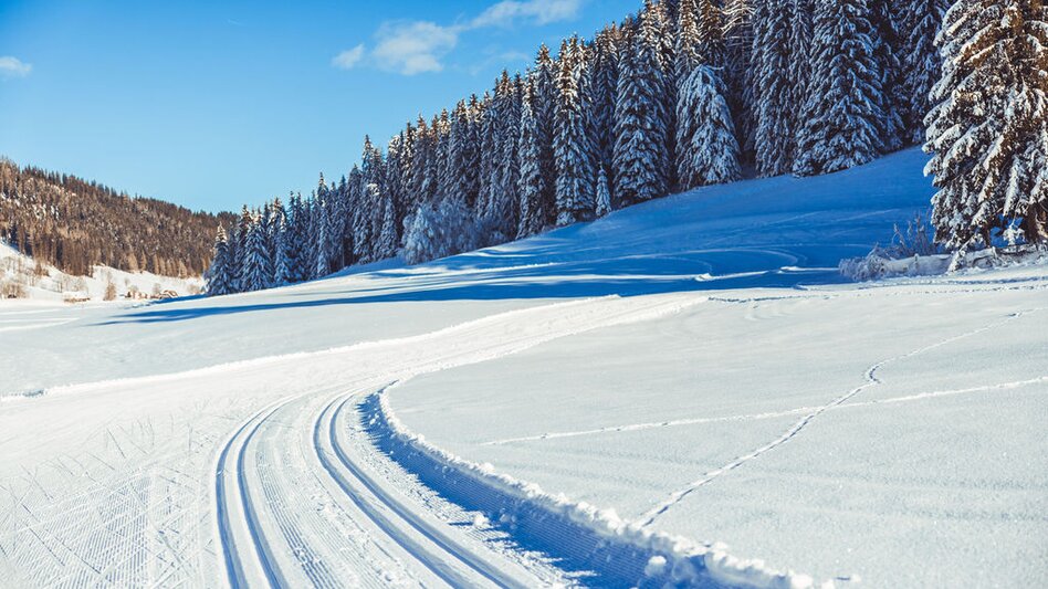 Ski nordic skating Weirerteich Loipe - Touren-Impression #2.4 | © Tourismusverband Murau