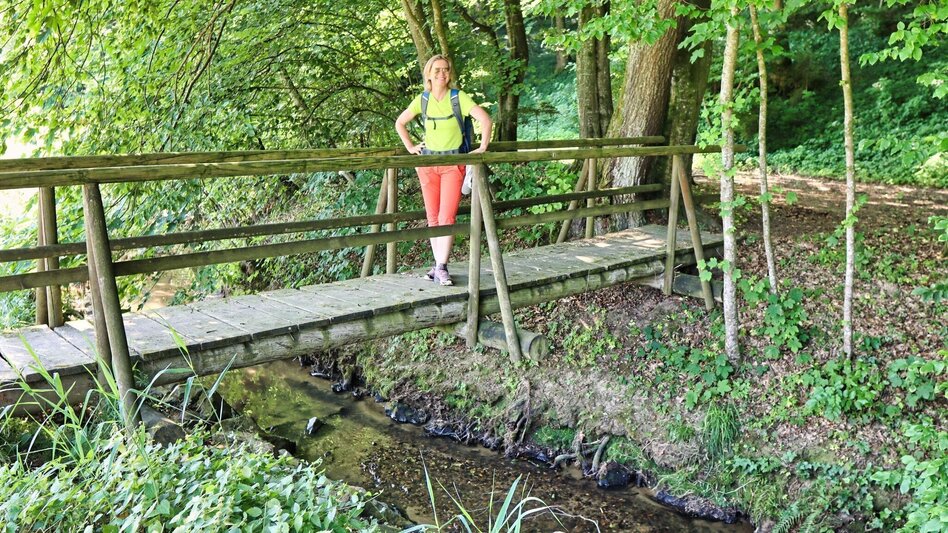 Hiking route 5 elements track (5-Elemente Weg) - route 2 (Badenbrunn) - Touren-Impression #2.1 | © Thermen- & Vulkanland