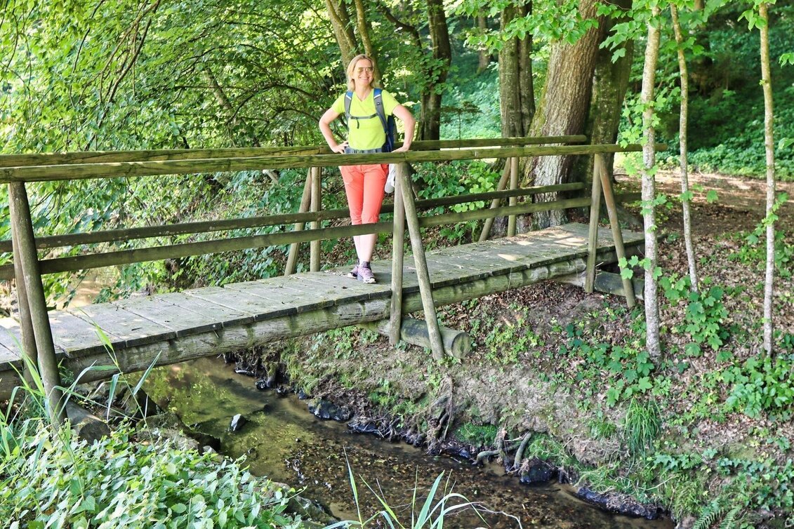 Hiking route 5 elements track (5-Elemente Weg) - route 2 (Badenbrunn) - Touren-Impression #1 | © Thermen- & Vulkanland