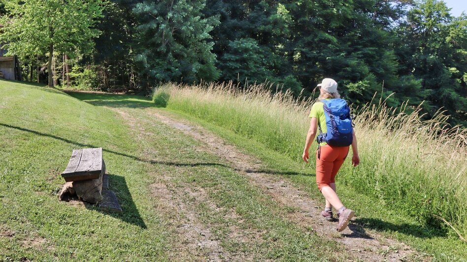 Hiking route 5 elements track (5-Elemente Weg) - route 2 (Badenbrunn) - Touren-Impression #2.5 | © Thermen- & Vulkanland