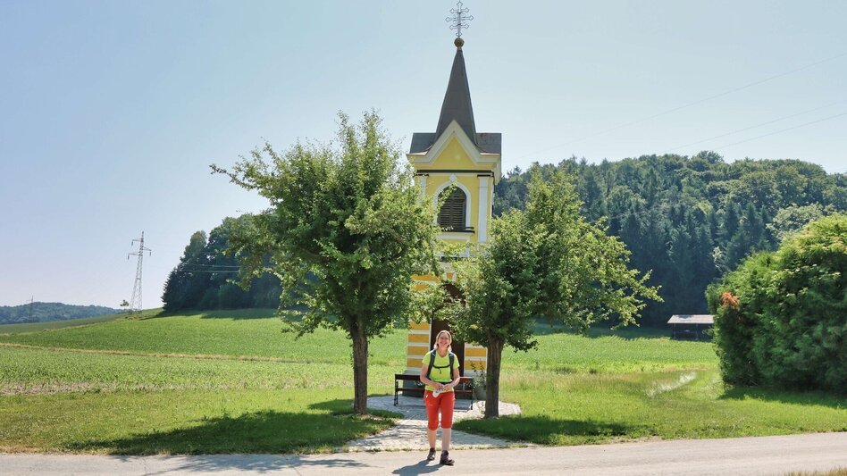Hiking route 5 elements track (5-Elemente Weg) - route 2 (Badenbrunn) - Touren-Impression #2.6 | © Thermen- & Vulkanland