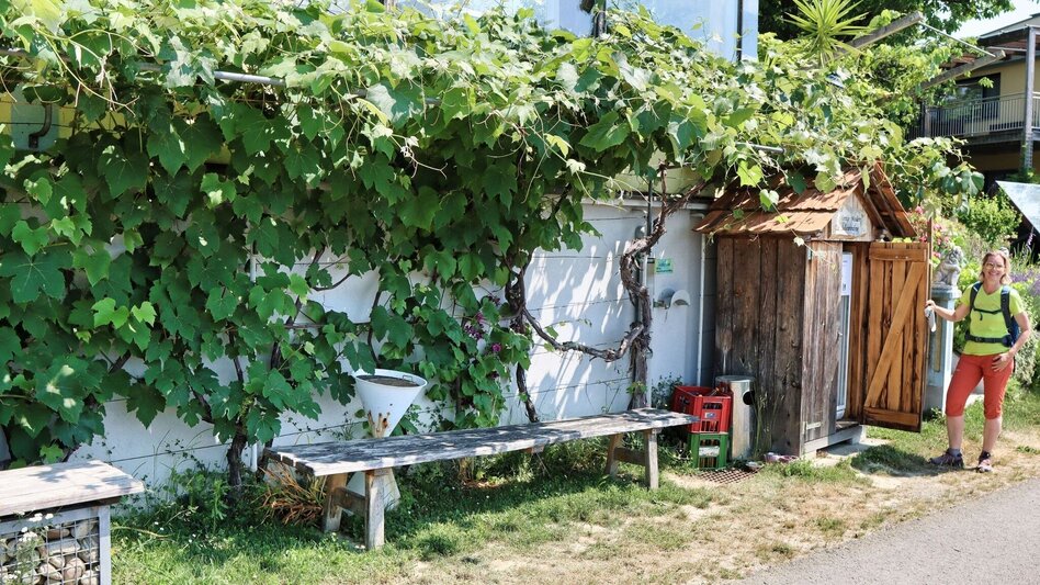Hiking route 5 elements track (5-Elemente Weg) - route 2 (Badenbrunn) - Touren-Impression #2.7 | © Thermen- & Vulkanland