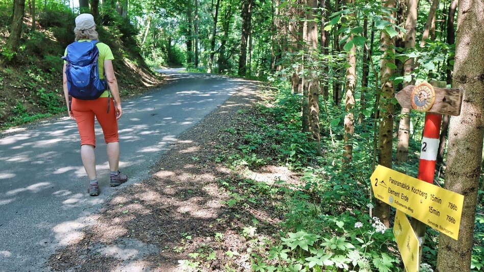 Hiking route 5 elements track (5-Elemente Weg) - route 2 (Badenbrunn) - Touren-Impression #2.9 | © Thermen- & Vulkanland