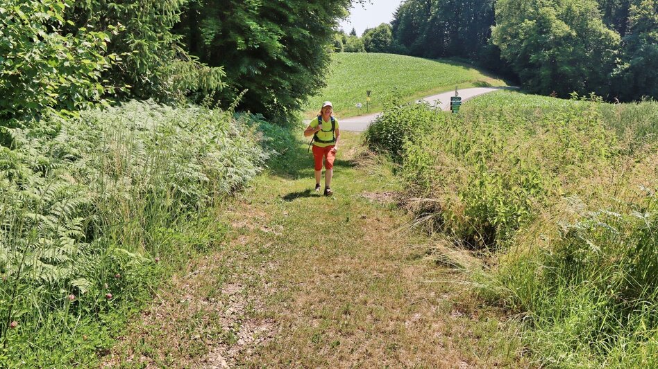 Hiking route 5 elements track (5-Elemente Weg) - route 2 (Badenbrunn) - Touren-Impression #2.10 | © Thermen- & Vulkanland