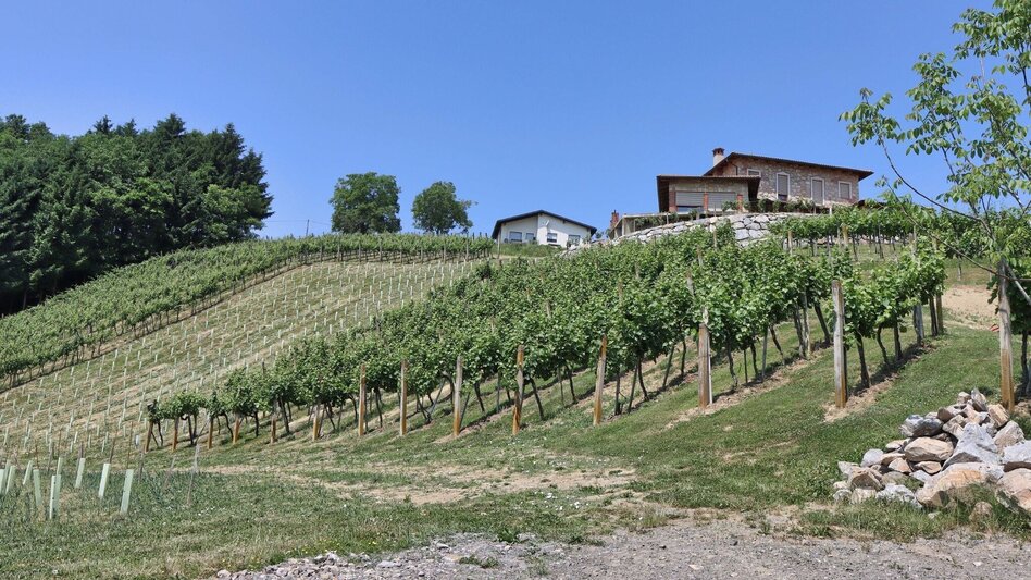 Hiking route 5 elements track (5-Elemente Weg) - route 2 (Badenbrunn) - Touren-Impression #2.11 | © Thermen- & Vulkanland