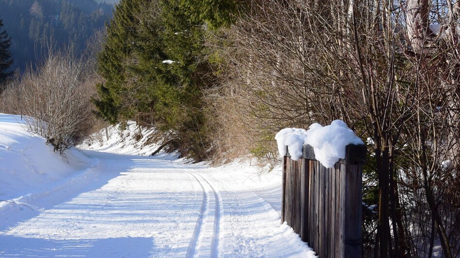 Langlauf klassisch Langlaufloipe am Mürztalradweg im Naturpark Mürzer Oberland - Touren-Impression #2.6 | © Naturpark Mürzer Oberland