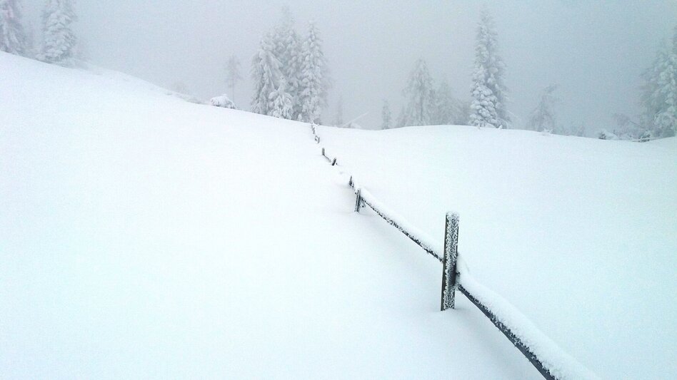 Snowshoe walking Soldatenrunde - Touren-Impression #2.7 | © Region Graz