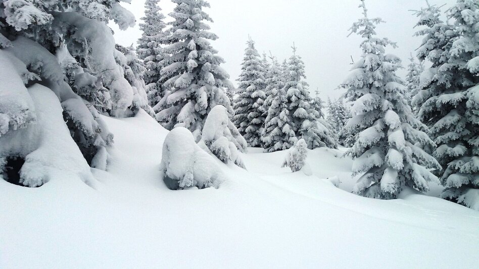 Snowshoe walking Soldatenrunde - Touren-Impression #2.8 | © Region Graz