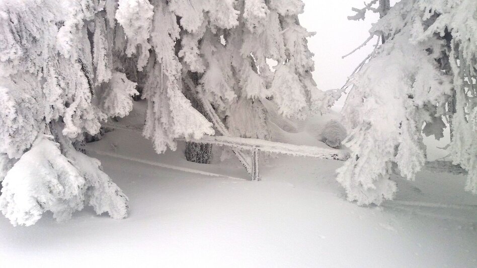 Snowshoe walking Soldatenrunde - Touren-Impression #2.10 | © Region Graz