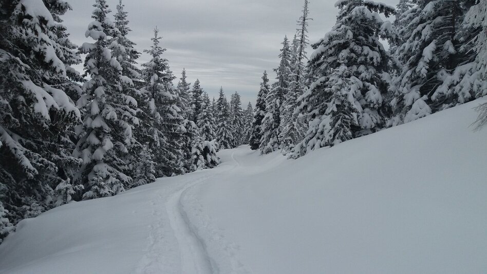 Snowshoe walking Soldatenrunde - Touren-Impression #2.13 | © Region Graz