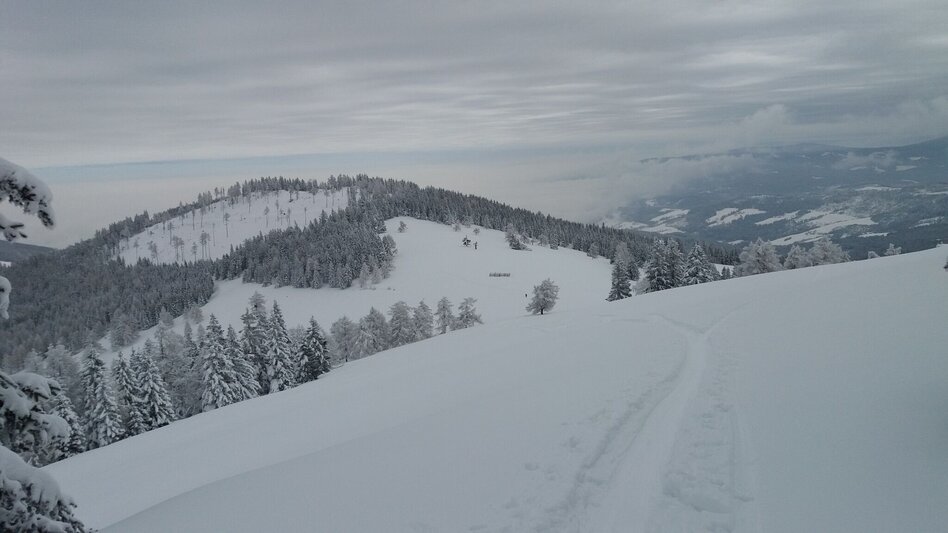 Snowshoe walking Soldatenrunde - Touren-Impression #2.14 | © Region Graz