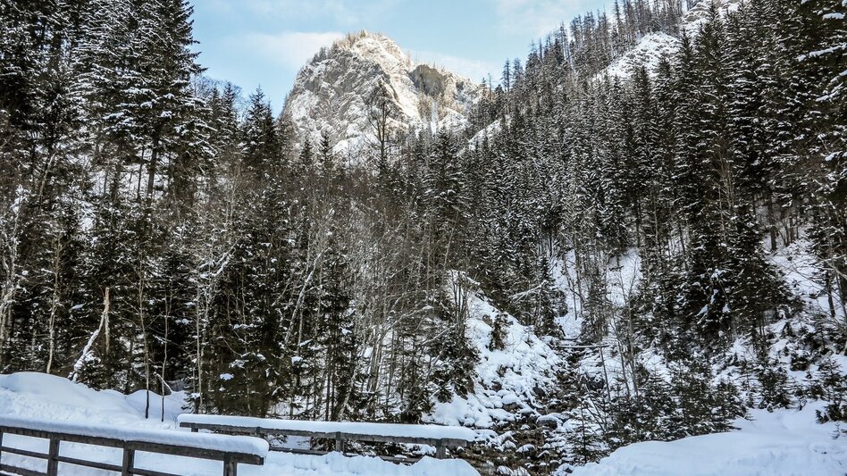 Skitour Skitour Hochtürnach im Salzatal Wildalpen - Touren-Impression #2.1 | © TV Gesäuse