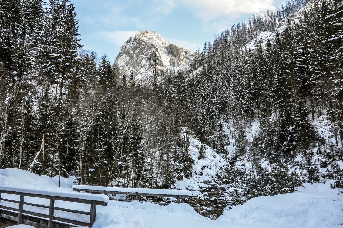 Skitour Skitour Hochtürnach im Salzatal Wildalpen - Touren-Impression #1 | © TV Gesäuse