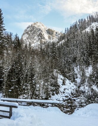 das Ende des Forstweges | Christian Scheucher | © TV Gesäuse
