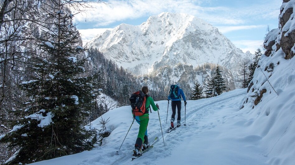 Skitour Skitour Hochtürnach im Salzatal Wildalpen - Touren-Impression #2.2 | © TV Gesäuse